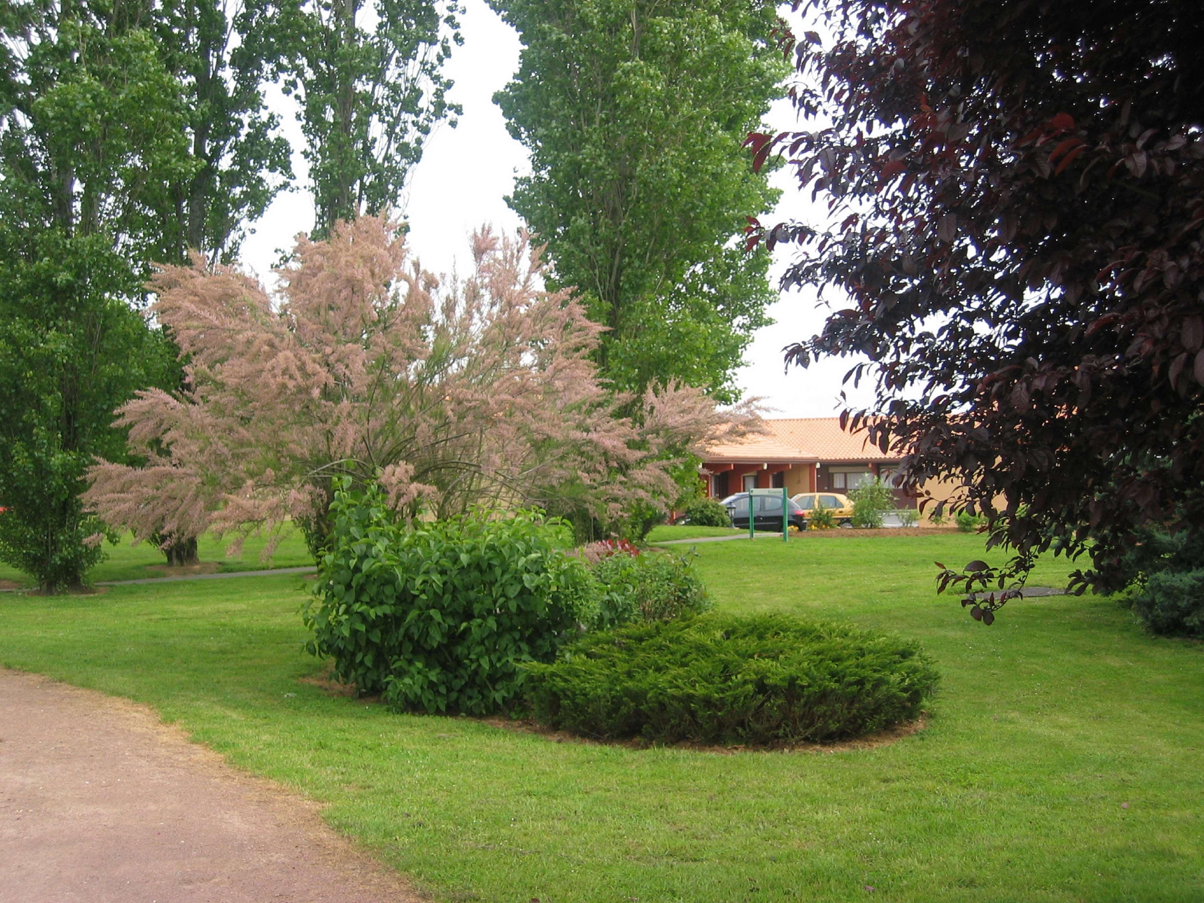 Kyriad Niort - La Creche ภายนอก รูปภาพ